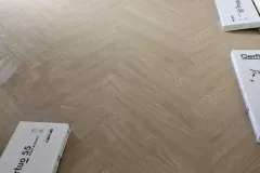 1_490379715_1171350248110778_2336715899209384461_n