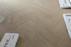 490379715_1171350248110778_2336715899209384461_n